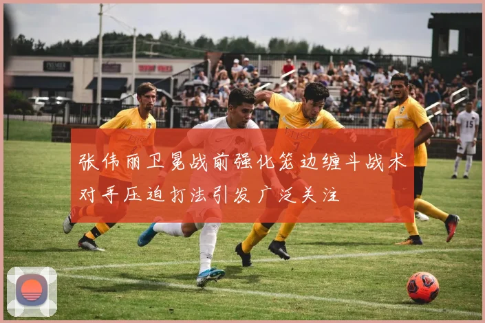张伟丽卫冕战前强化笼边缠斗战术对手压迫打法引发广泛关注
