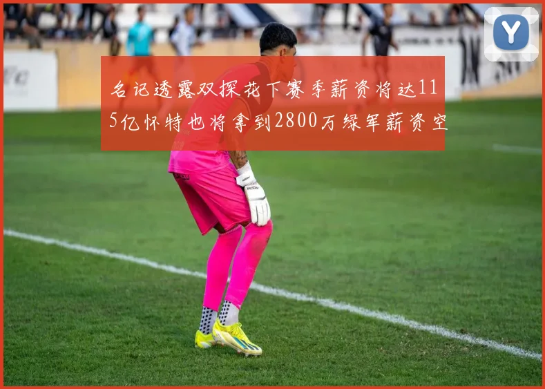 名记透露双探花下赛季薪资将达115亿怀特也将拿到2800万绿军薪资空间依旧紧张