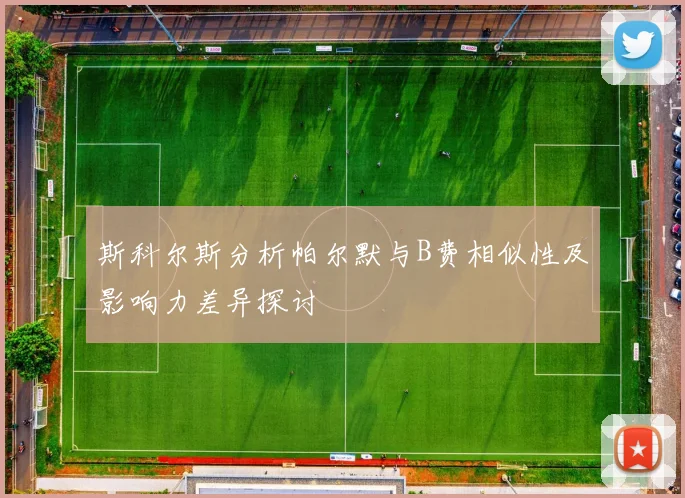 斯科尔斯分析帕尔默与B费相似性及影响力差异探讨